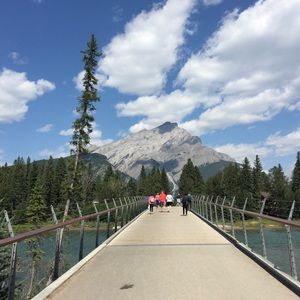 Meet your Posher, Hayley